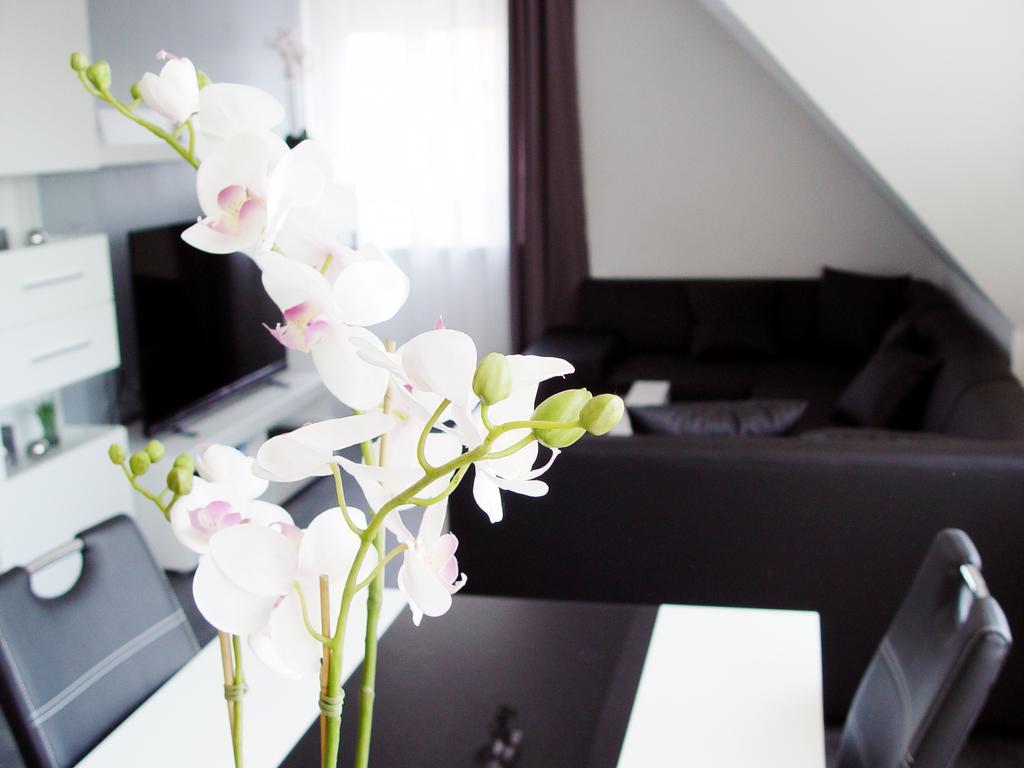 La Domus Premium Osnabrueck Lotte Apartment ภายนอก รูปภาพ