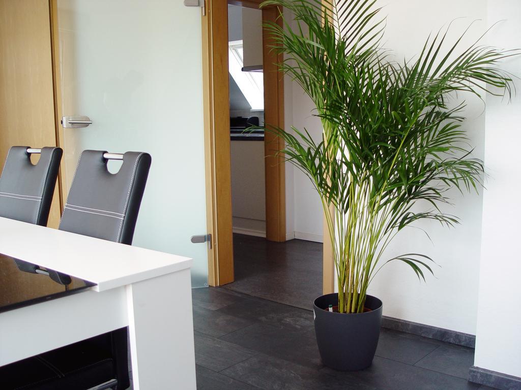 La Domus Premium Osnabrueck Lotte Apartment ภายนอก รูปภาพ
